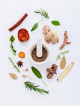 herbs, natural, pharmaceutical, green, ingredients, white, medical, healing, chinese, herbal, diet, aroma, organic, concept, leaves, nature, medicine, recipe, spices, healthy, collection, biology, care, scientist, science, plant, seasoning, fresh, nutrition, cooking, food, pharmacy, mortar, dry, healthcare